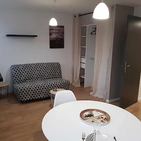 Joli A 5mn Du Centre-ville Avec Parking Prive Apartmán Castres (Tarn)